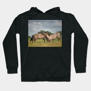 Encore une danse Hoodie